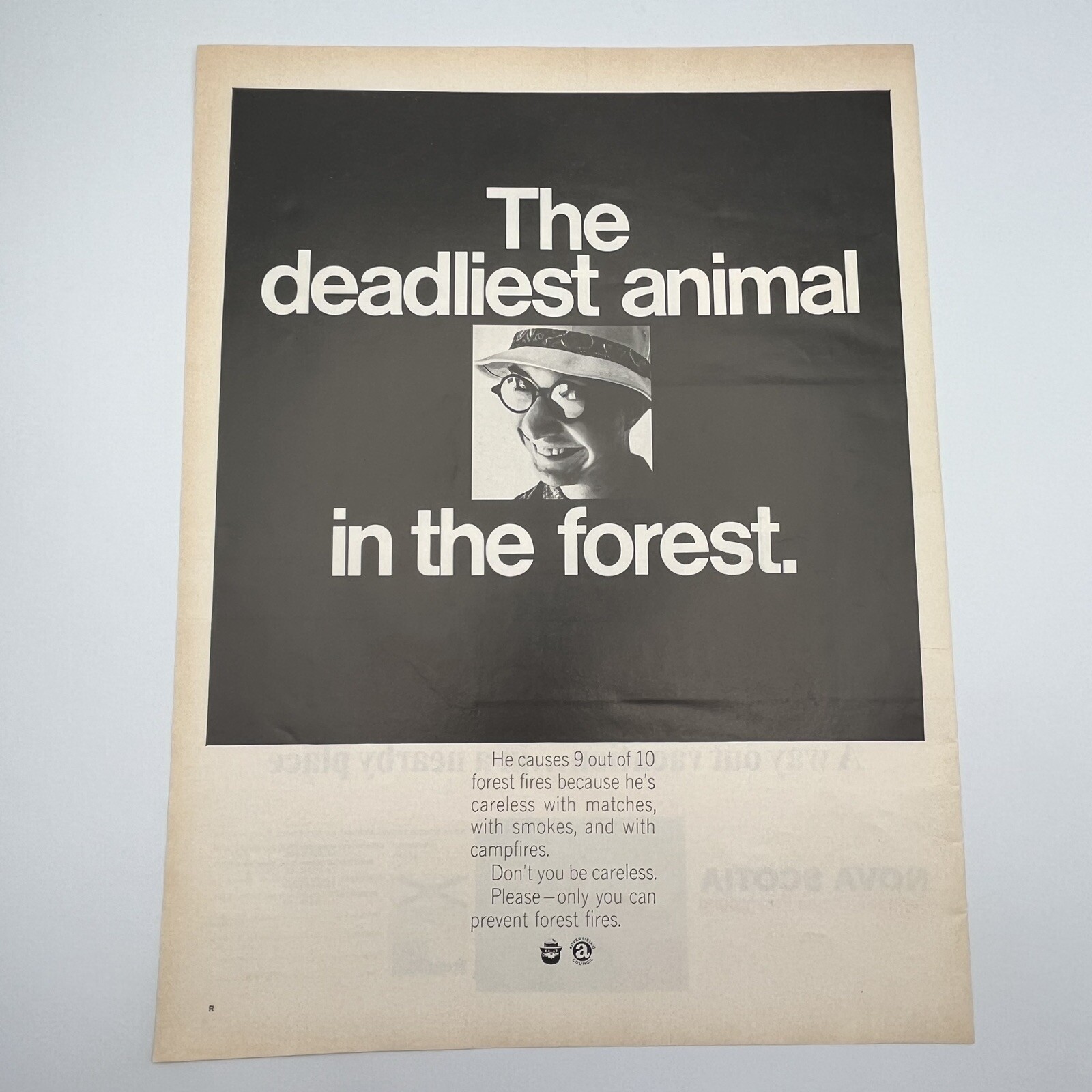 Prevent Forest Fires 1968 Print Ad 10.25×13.5″ deadliest animal in forest humans