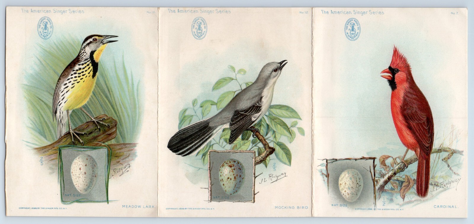 c1901 Pan American Expo J.L. Ridgway Singer Sewing Machines 3-Panel Trade Card