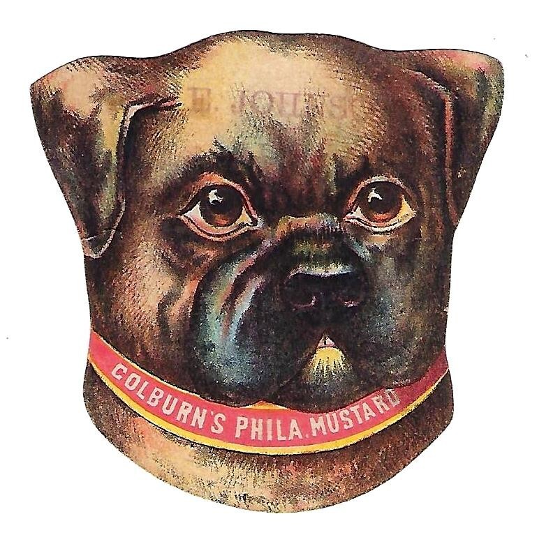 c1890 Victorian Trade Card, Colburn’s Mustard, Bull Dog Die-Cut