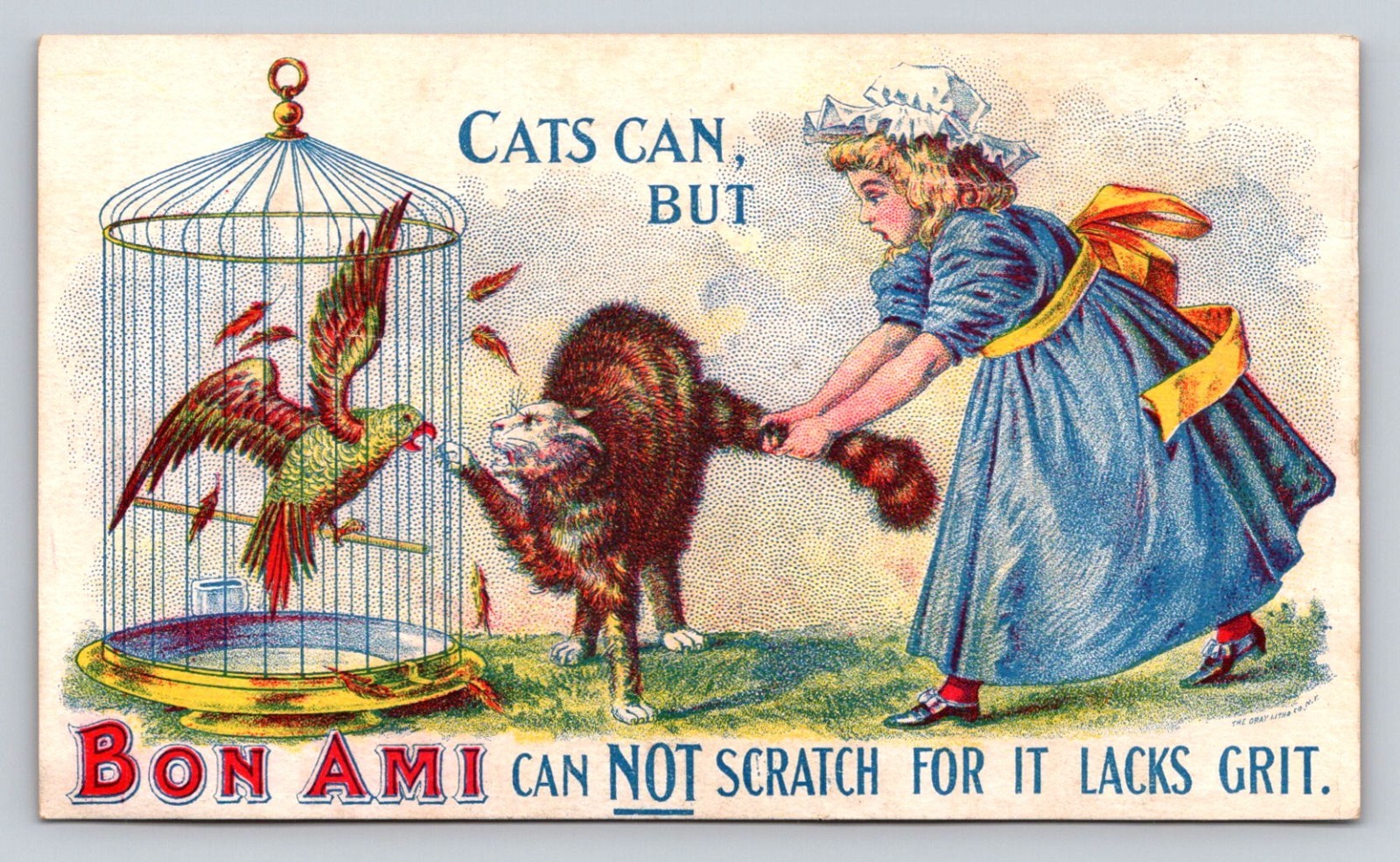 Cats Can But Bon Ami Can Not Scratch Girl Parrot Birdcage P220