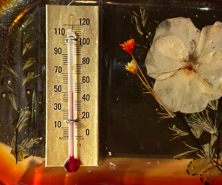 Gorgeous Vintage 1950’s LuciteThermometer FLORAL DESIGN 4 3/4″ x 3 1/4″ x 5/8″