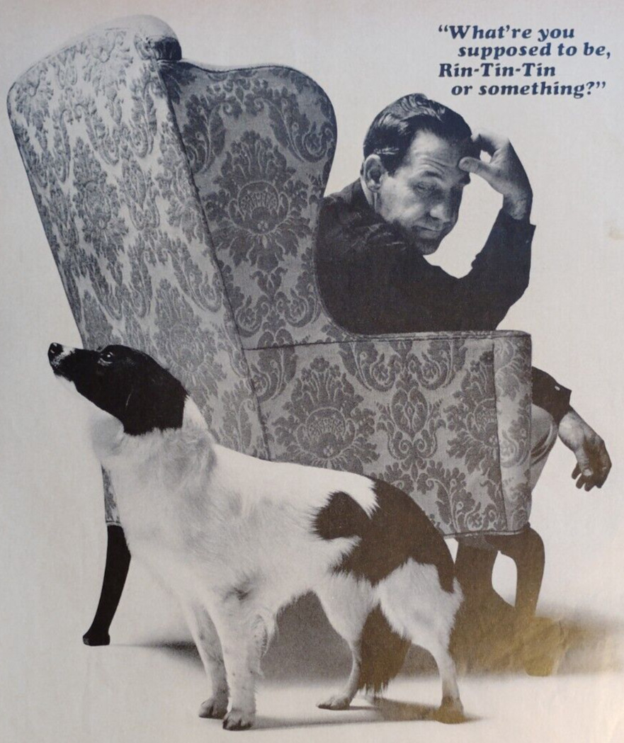 Vintage Retro Ad Gravy Train Dog Food Dog Rin-Tin-Tin General Foods 1960’s
