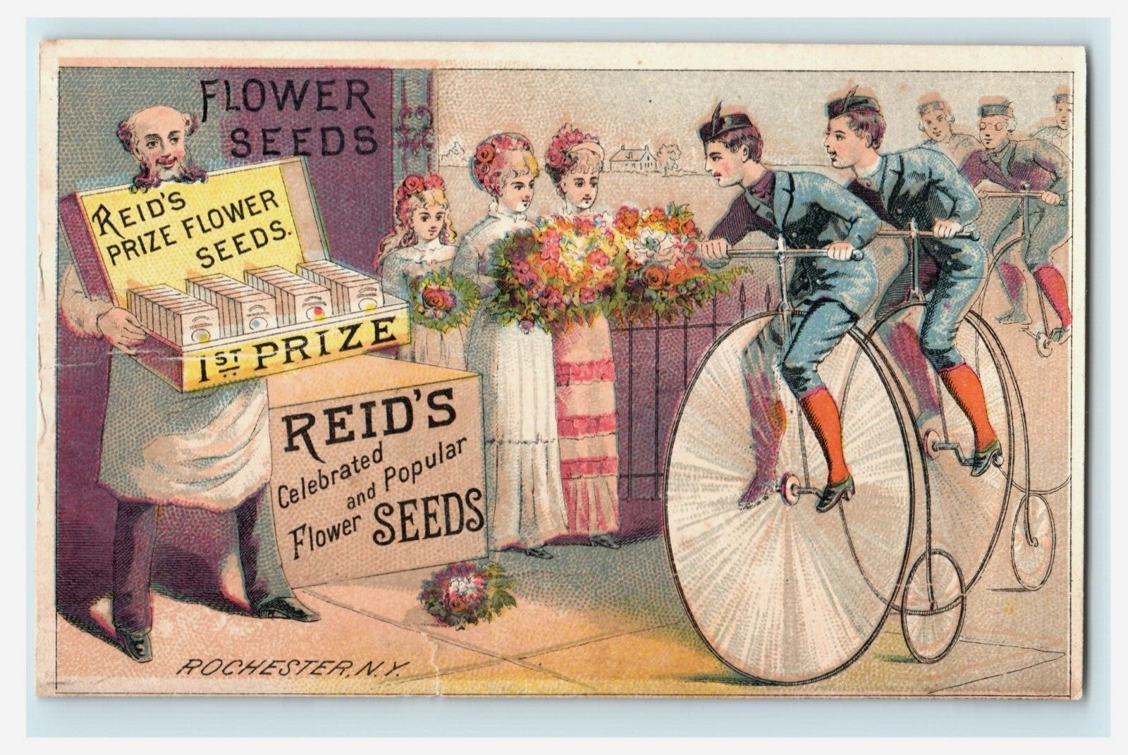 Reid’s Flower Seeds Penny Farthing Bikes Floral Scene