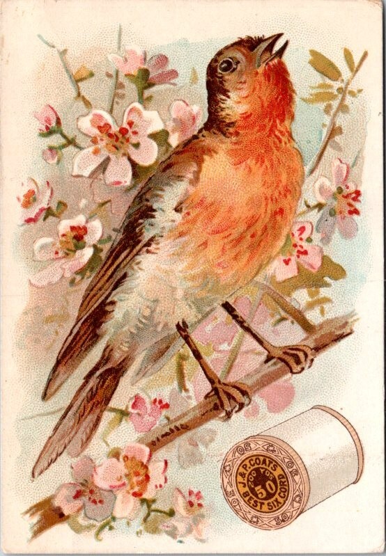 J & P Coats Thread Bird Songbird Red Breast Flowers JQV3
