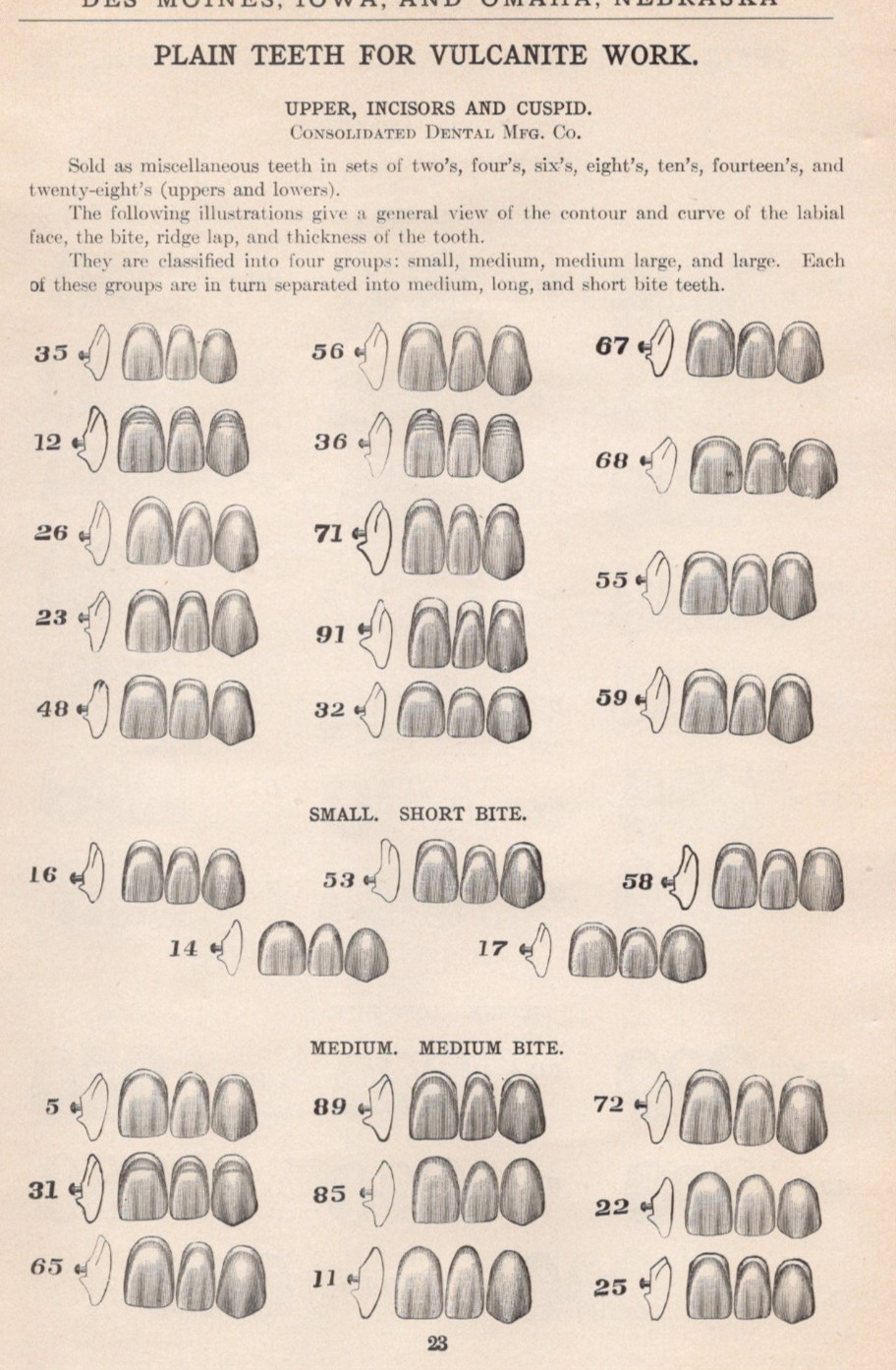 1905 Chart of Upper Cuspid Incisor for Rubber Work Consolidated Dental Print Ad