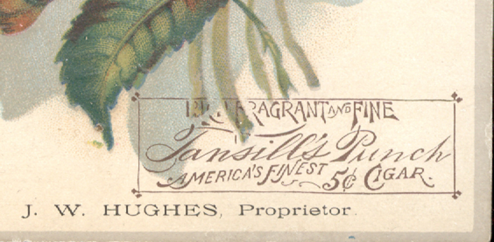 TANSILL’S PUNCH 5c CIGAR TRADE CARD, COFFEES. TEA STORE, J W HUGHES PROP TC1094
