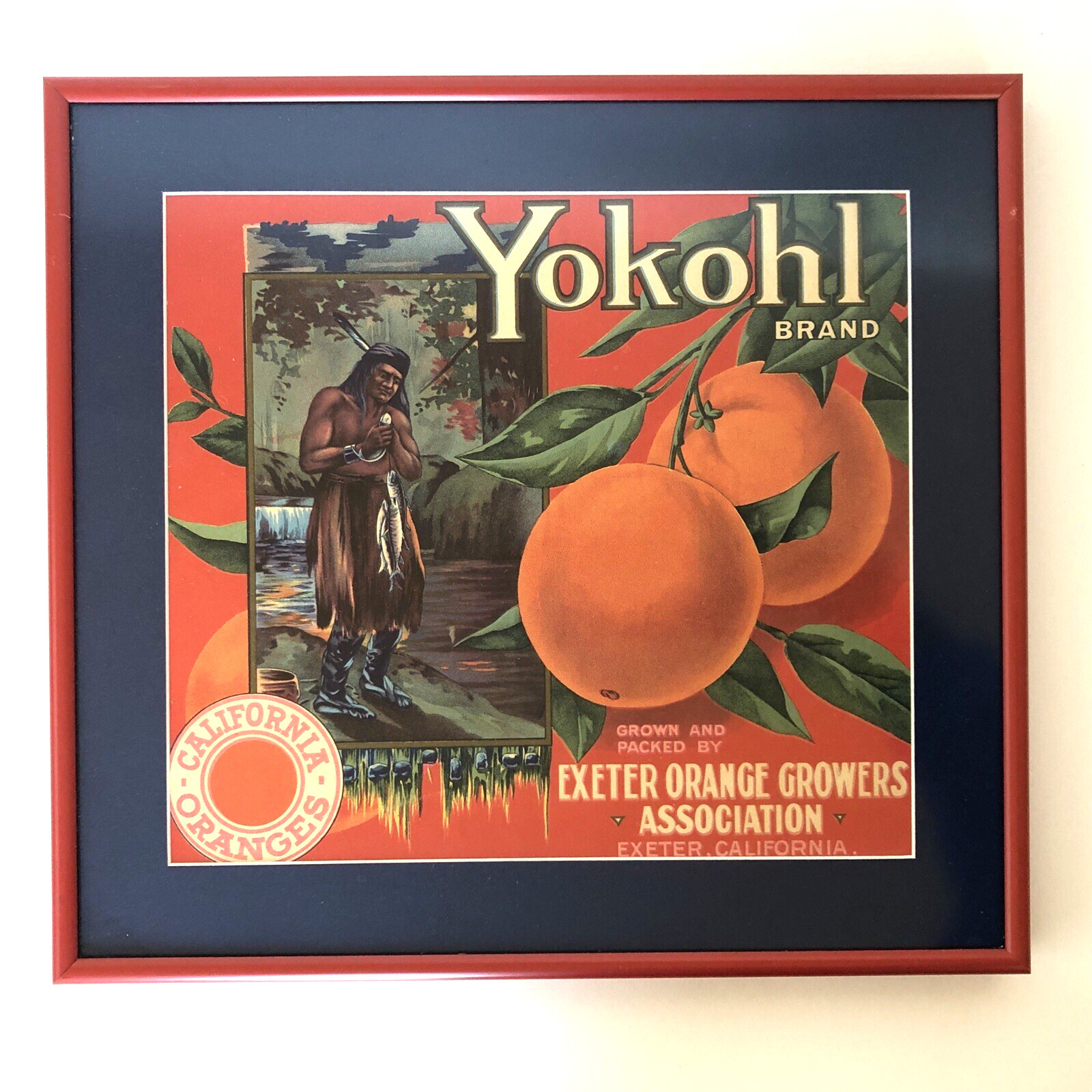 Vtg Original Yokohl Oranges Fruit Crate Label Framed Exeter Native American Fish