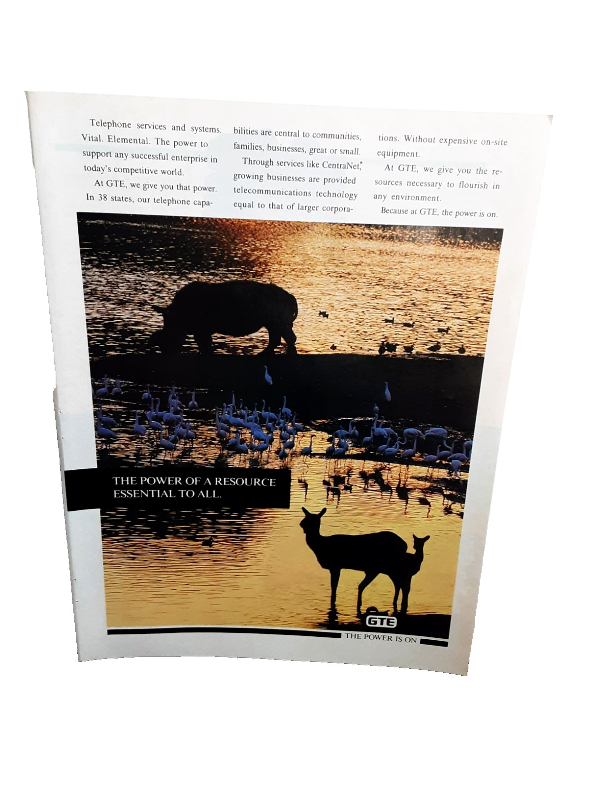 1991 GTE Telecommunications Power of Resource Print Ad Deer Scene