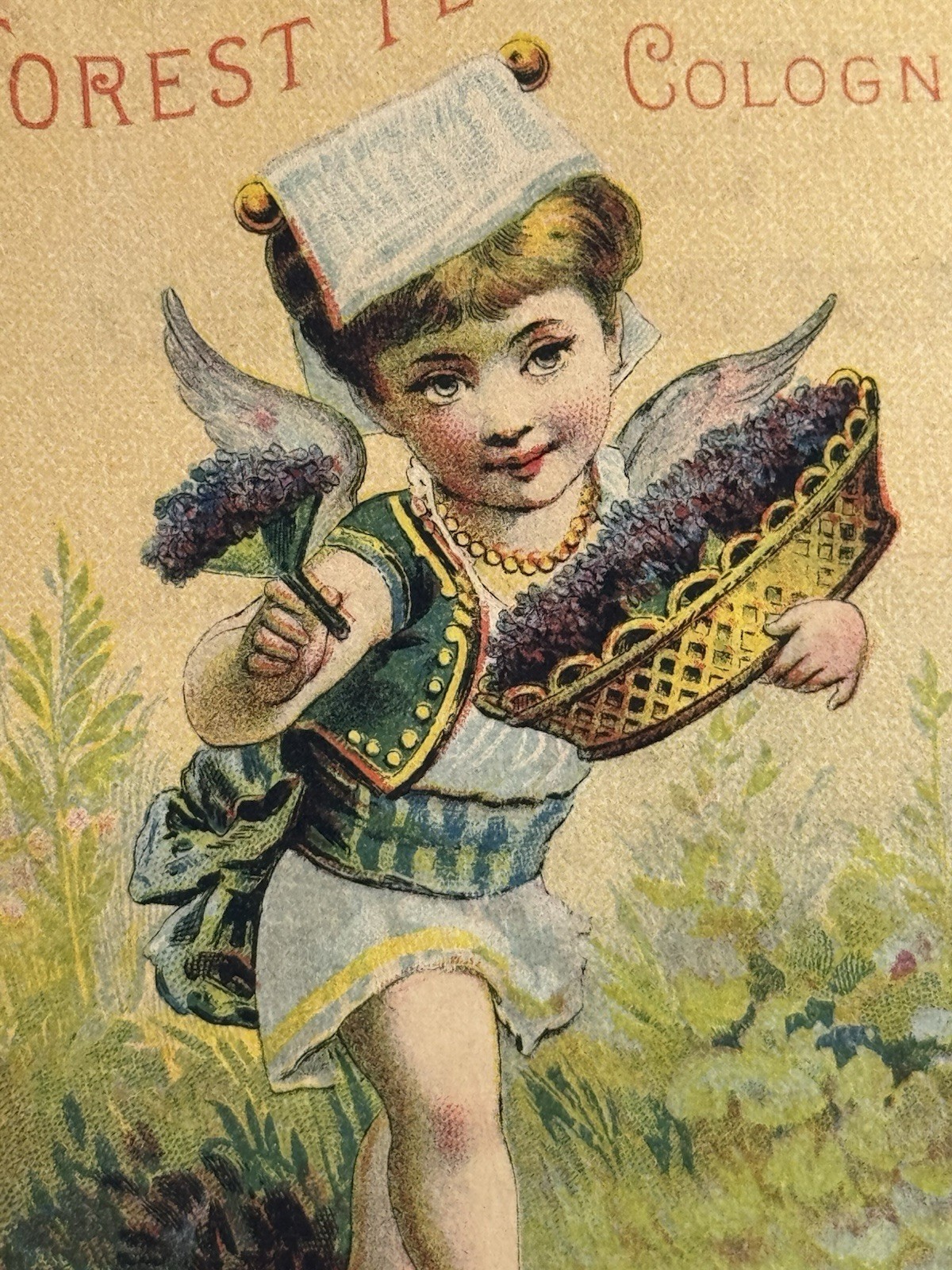 1890s Austen’s Forest Flower Cologne Victorian Trade Card Austen Oswego NY