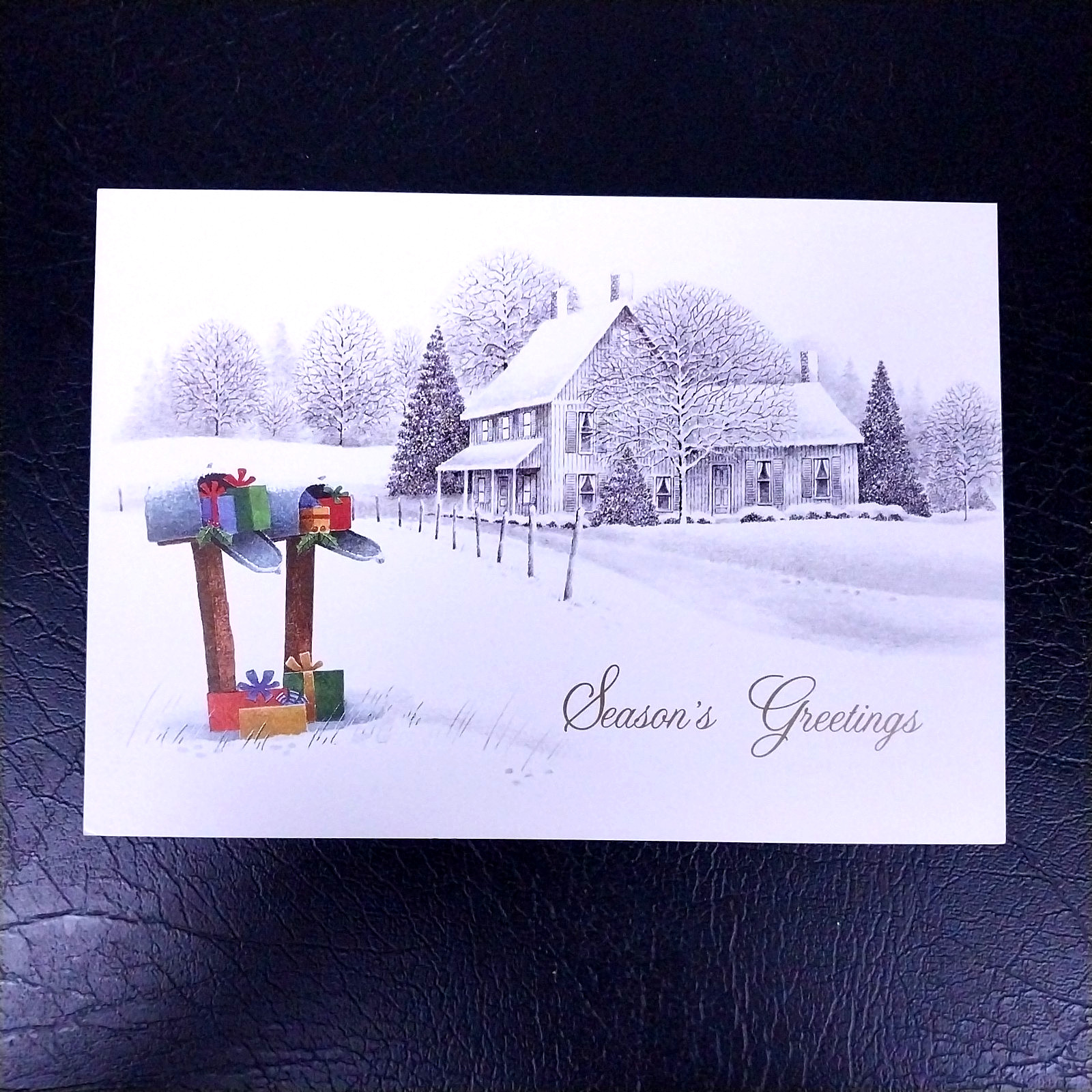 NGS Christmas Card Sample Advertisement – Holiday Gifts 2A76