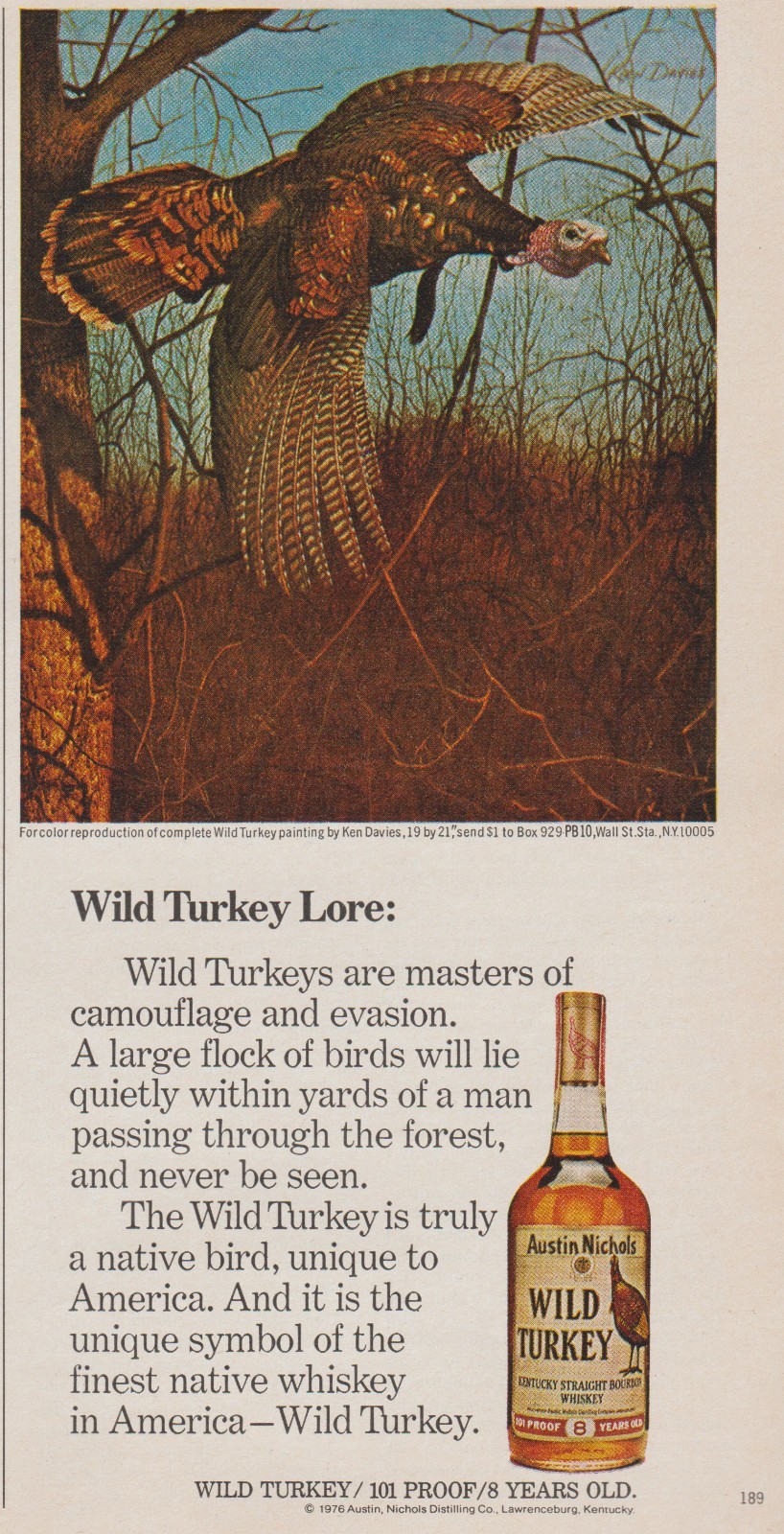 1976 Wild Turkey Bourbon Whiskey – “Lore” Flying – Ken Davies Art Print Ad Photo