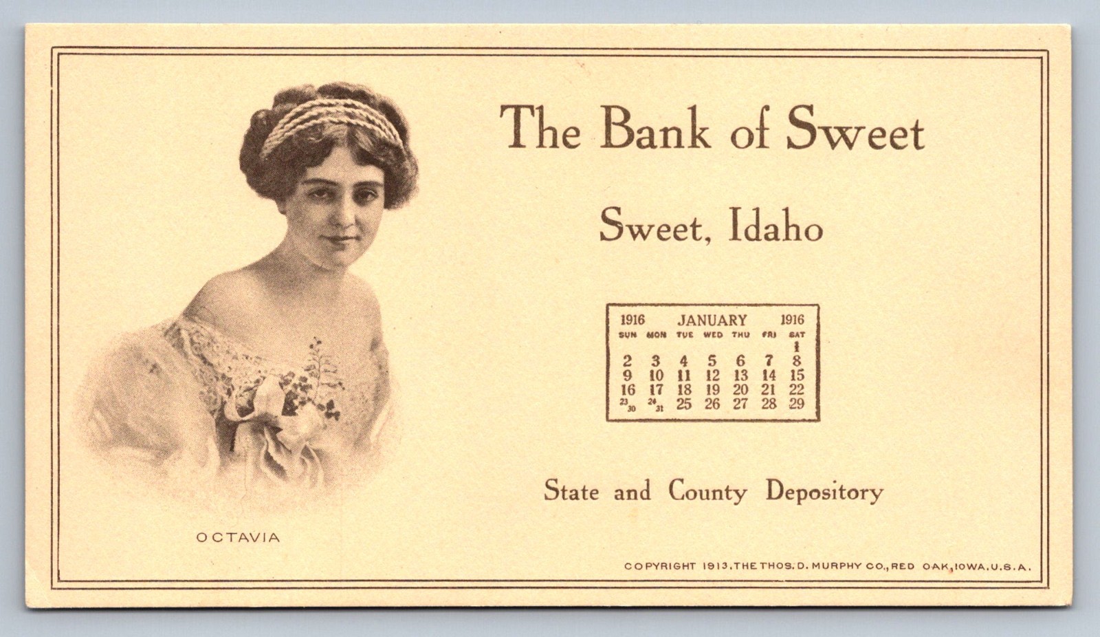 Antique Ink Blotter Bank of Sweet Idaho Calendar 1916 TBD
