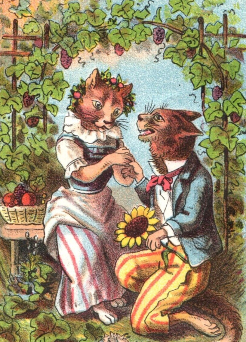 1882 A.M. Smith Anthropomorphic Tommy Cat Marriage & Life Set Of 6 F190