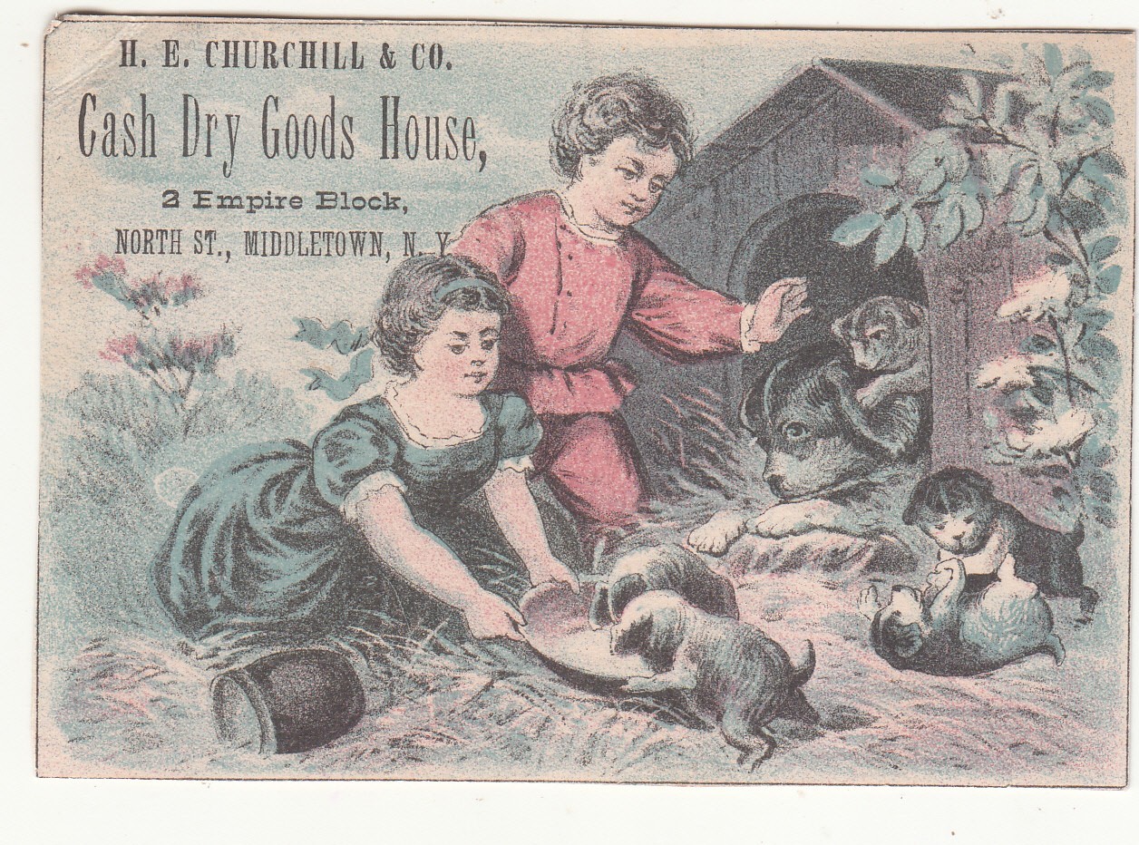 H E Churchill & Co Cash Dry Goods House Middletown NY Puppies Dog Card c1880s