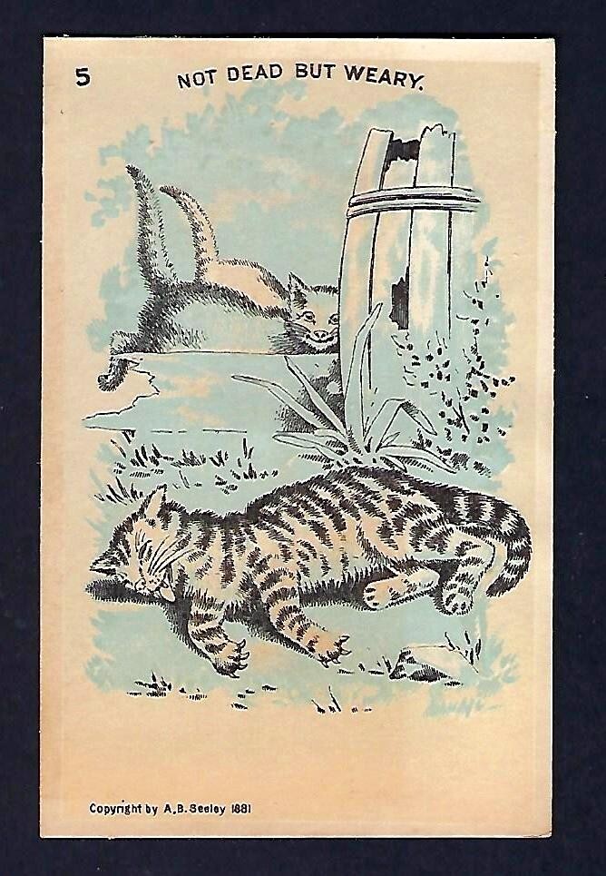 c1880 Stock Victorian Trade Card, #5 Cats, Not Dead But Weary
