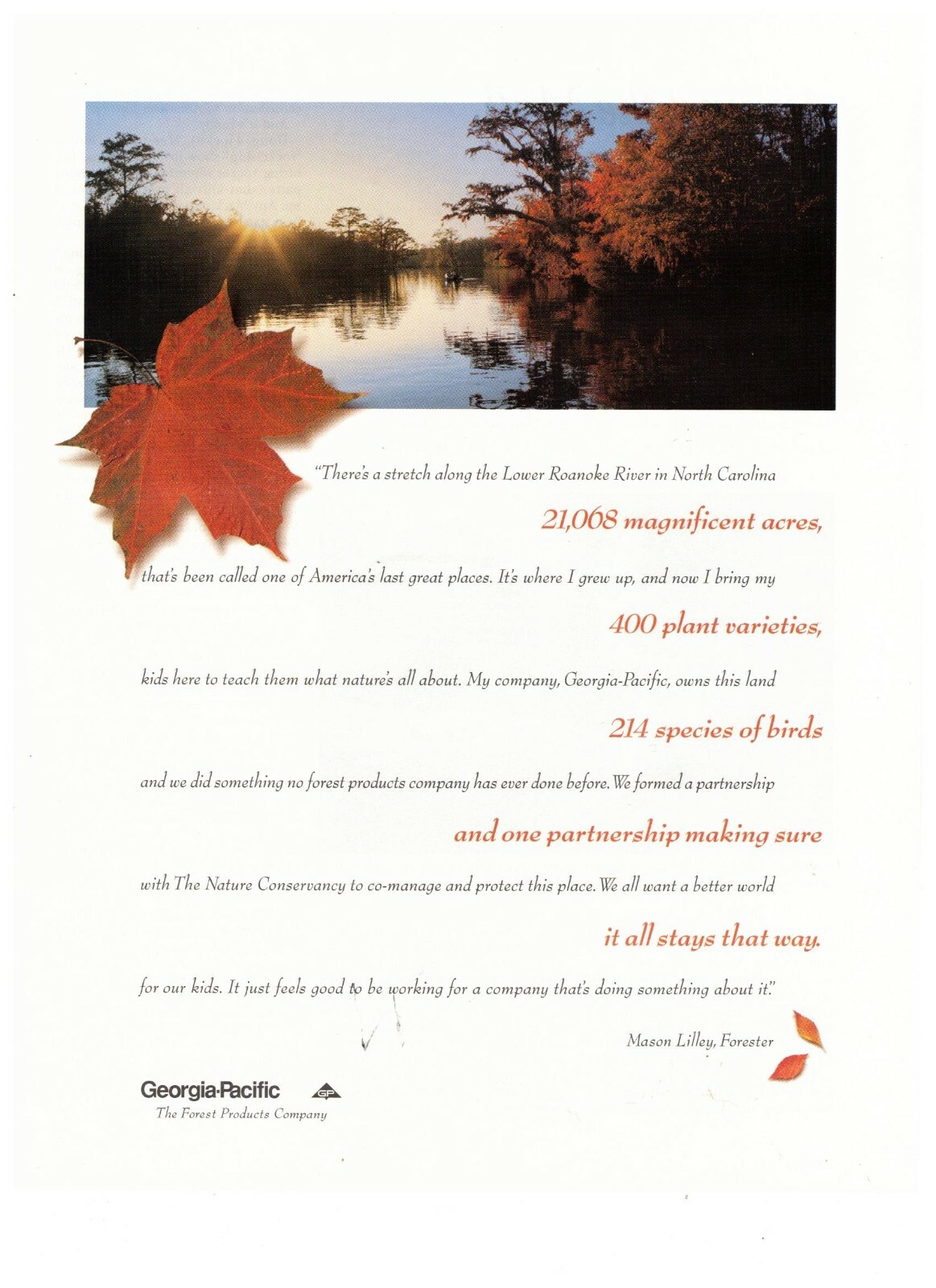 Georgia Pacific Vintage Print Ad Poster 1988 Magnificent Acres
