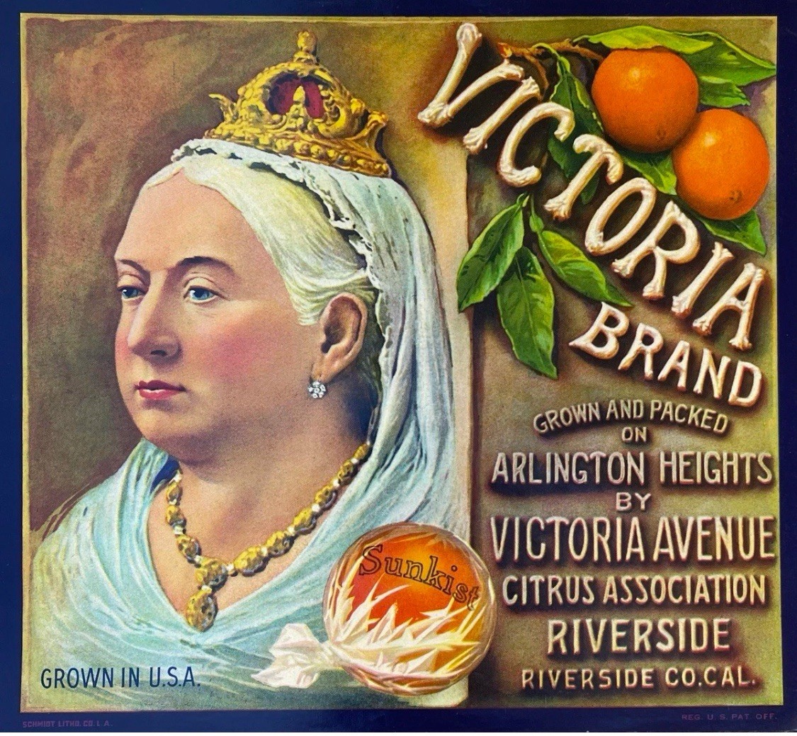 Victoria Brand – Original Orange Crate Label – 11″x10″ Nostalgia Collectable Vtg