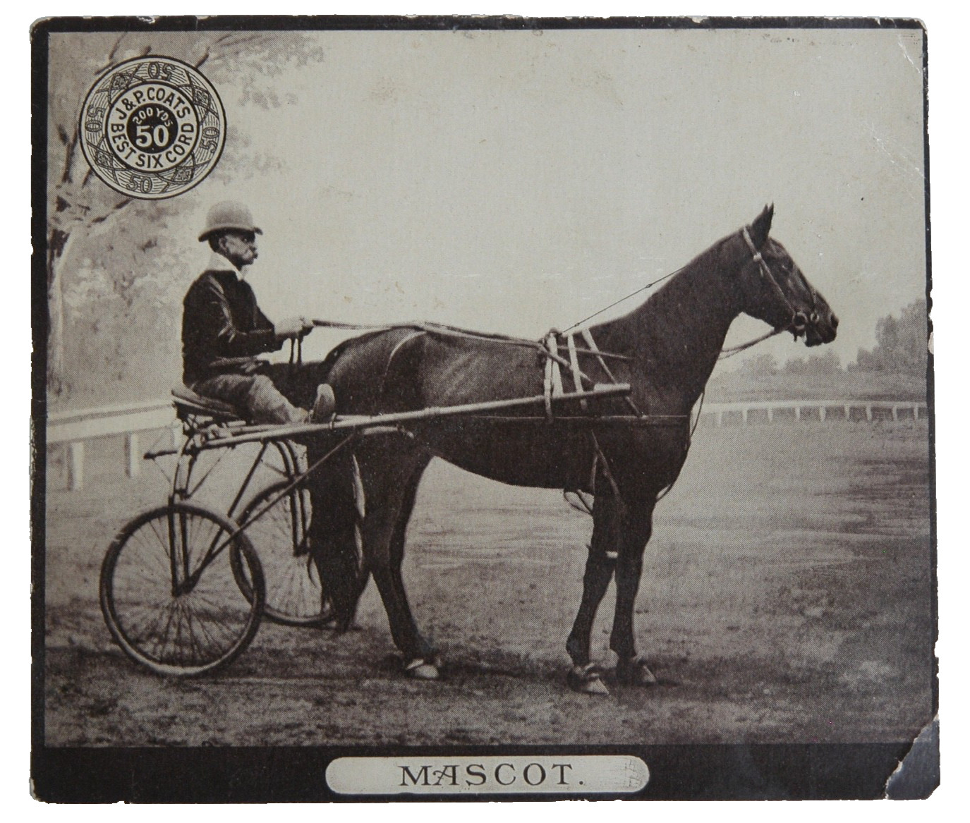 c. 1890s American Trotter Horse Card J & P Coats Horse Racing 2ND SERIES FANTASY