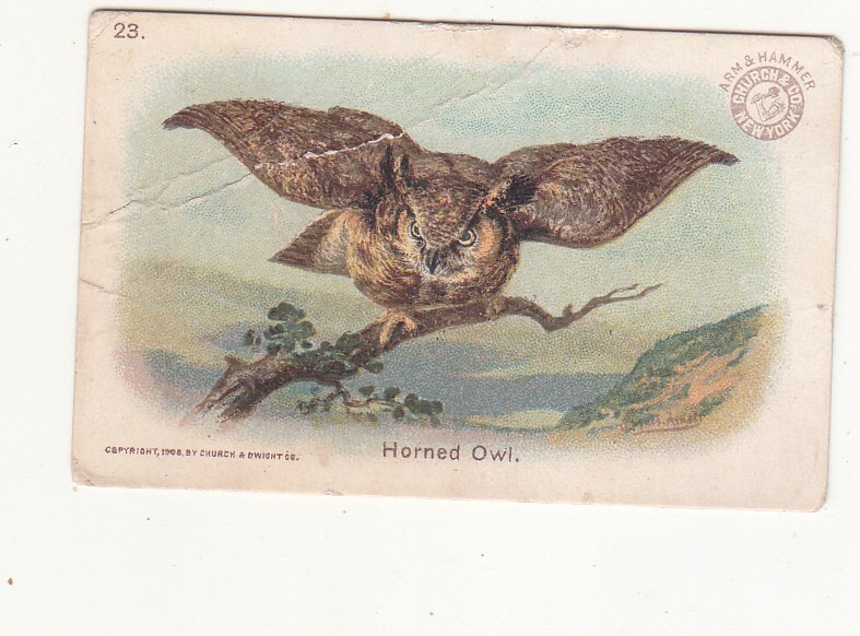 Arm & Hammer Church & Co Game Birds HORNED OWL Vict Card c1880s