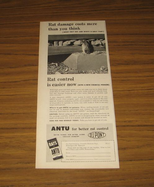1947 Vintage Ad Antu for Better Rat Control Du Pont Rat Eats Corn on Farm