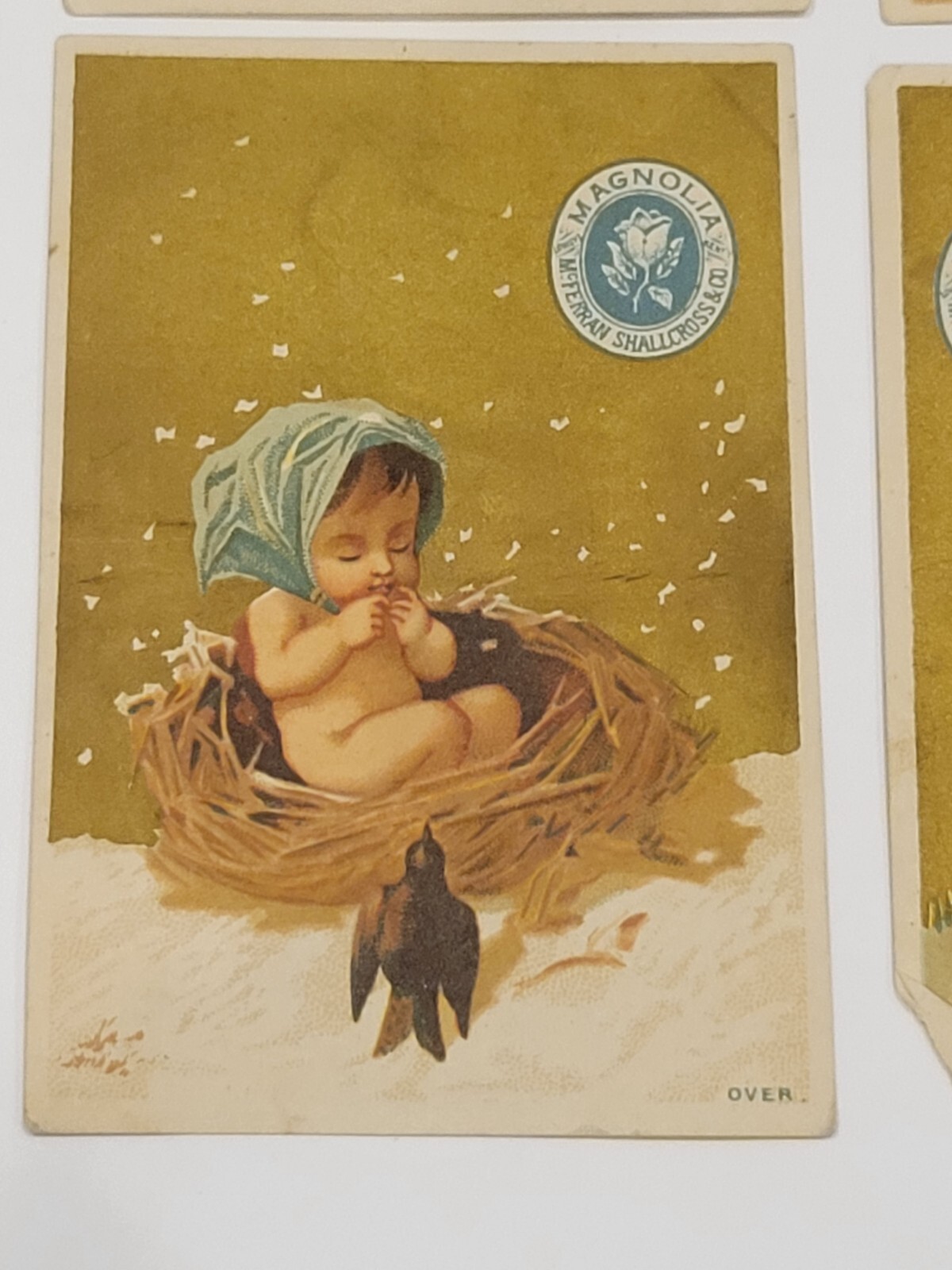 Victorian Trade Card Magnolia Ham Louisville Kentucky KY McFerran Baby On Turtle