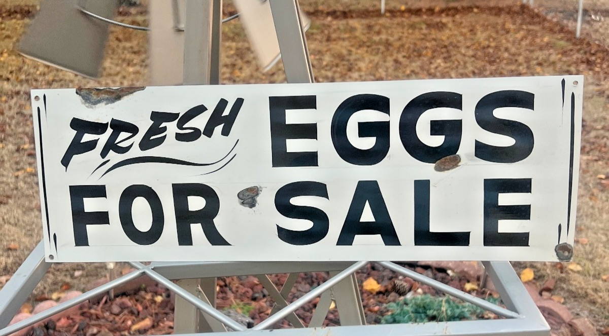 Vintage Old Painted Primitive Metal Fresh Eggs For Sale Barn Stable Farm Sign