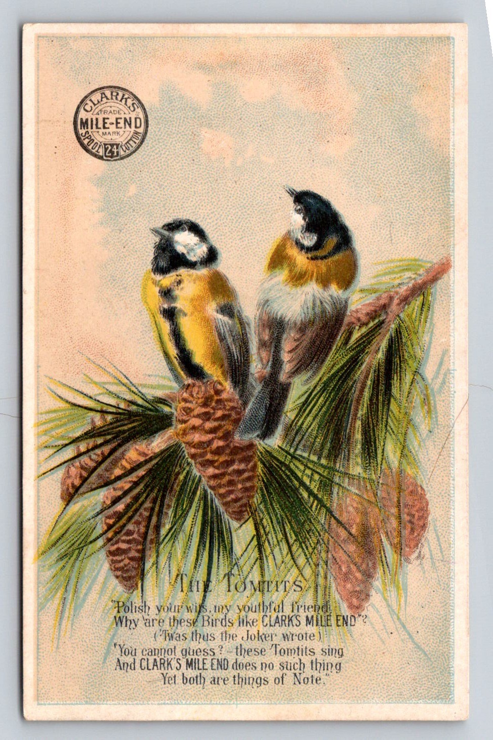 Clarks Mile End Bird Tomtits P813
