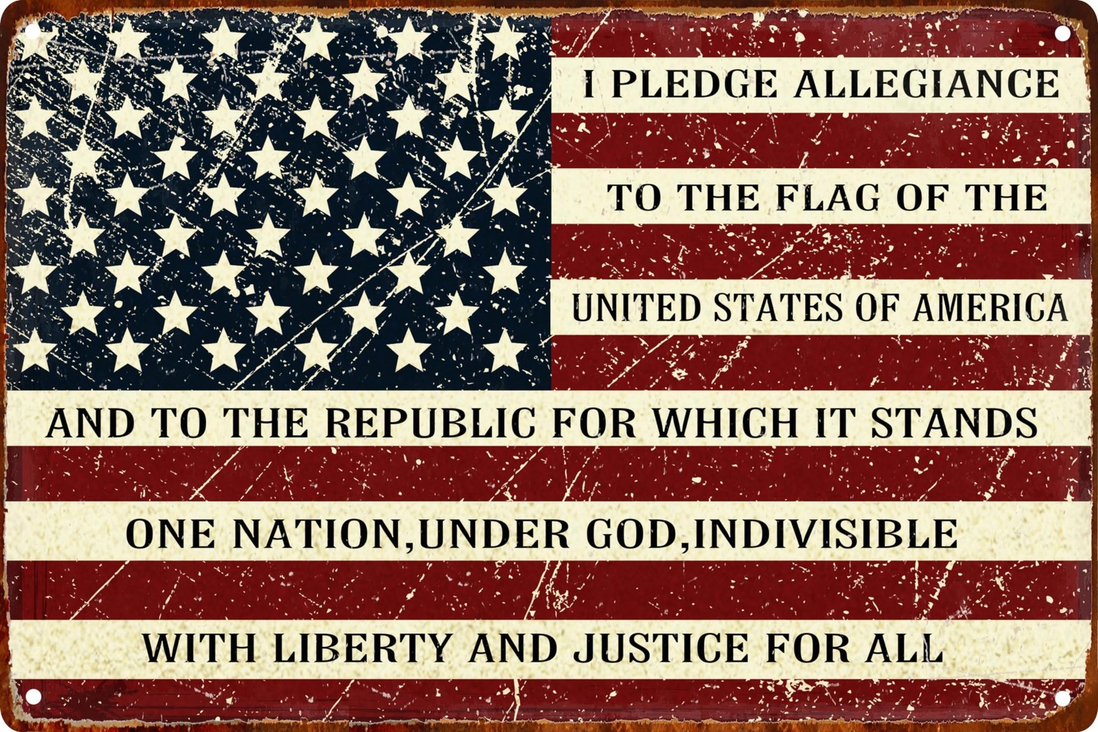 Retro Metal Sign Vintage Tin Sign I Pledge Allegiance to The Flag of The Unit…