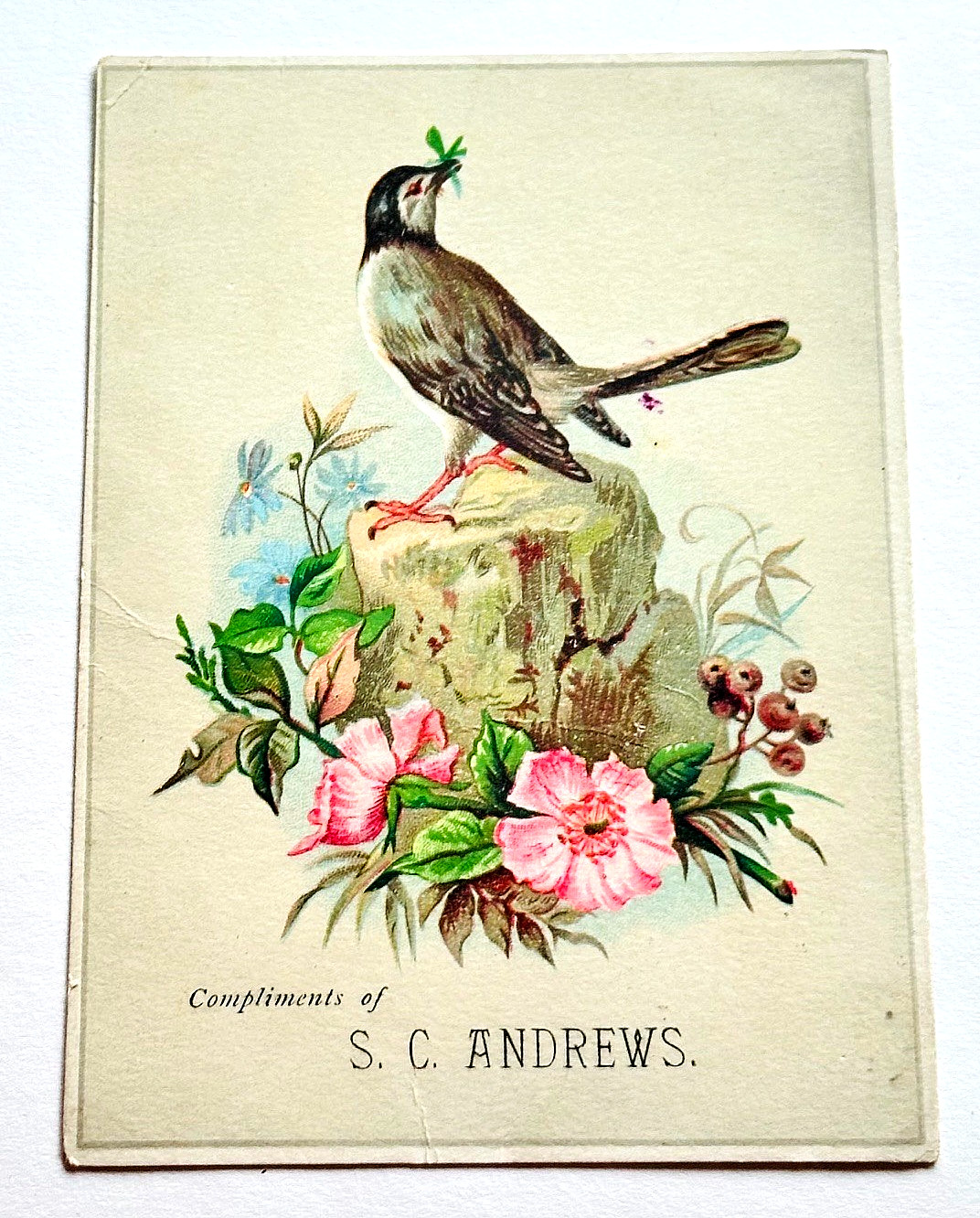 4.75″ Victorian Trade Card S C Andrews Druggist Newton Illinois