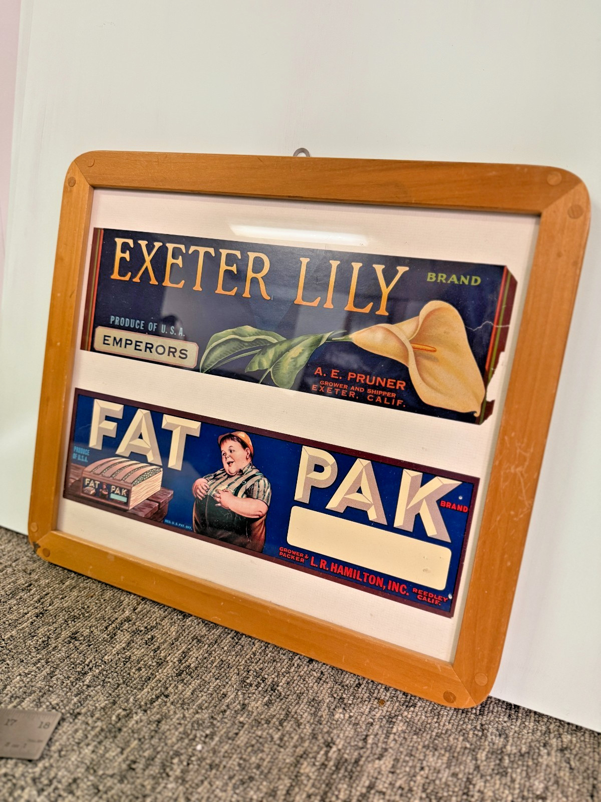 FAT PAK Vintage Grape & Exeter Lily Labels framed 1930s
