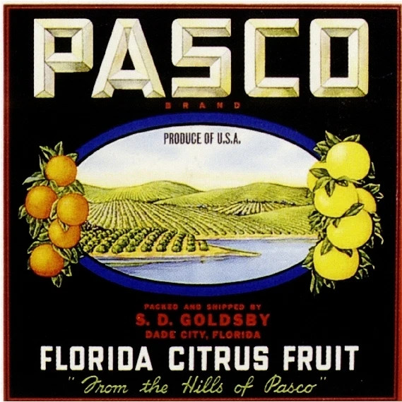 f43 Dade City Florida Pasco Orange Citrus Fruit Crate Label Fridge Mag