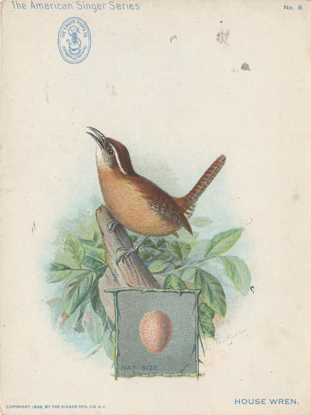 The American Singer Series – House Wren – Advertising Trade Card – 1898