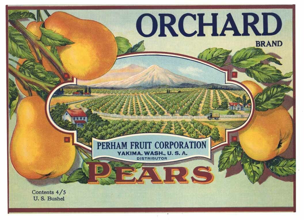 ORCHARD Vintage Washington Pear Crate Label green AN ORIGINAL 1920’s FRUIT LABEL