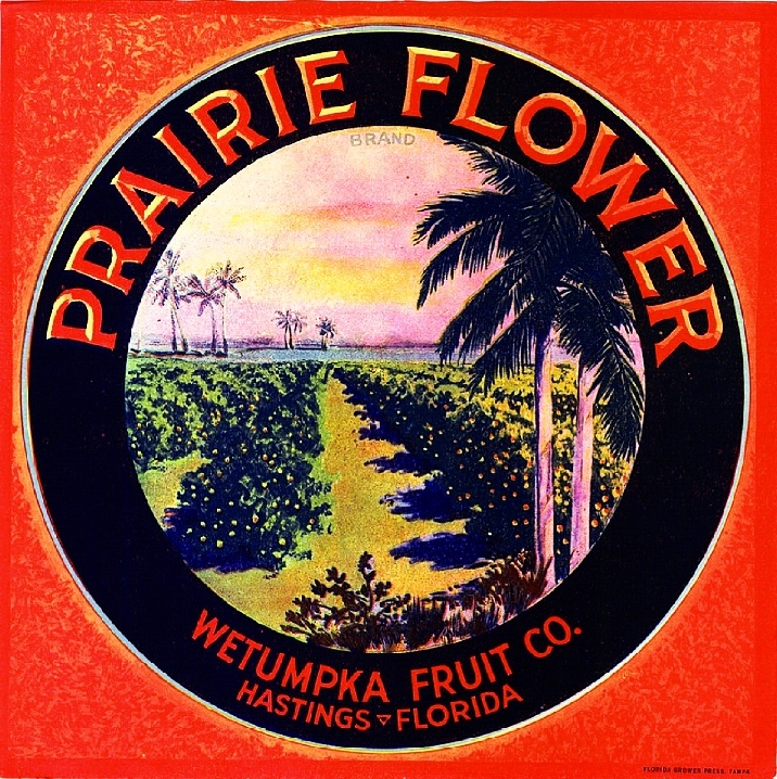 Hastings Florida Prairie Flower Orange Citrus Fruit Crate Label Art Print