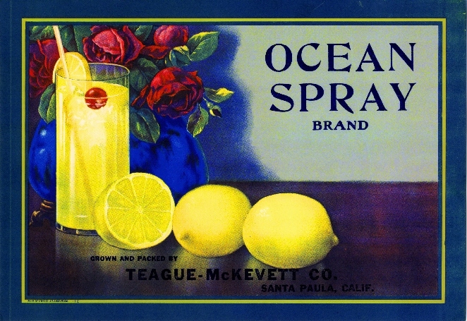 Santa Paula Ocean Spray Brand Lemon Citrus Fruit Crate Label Art Print