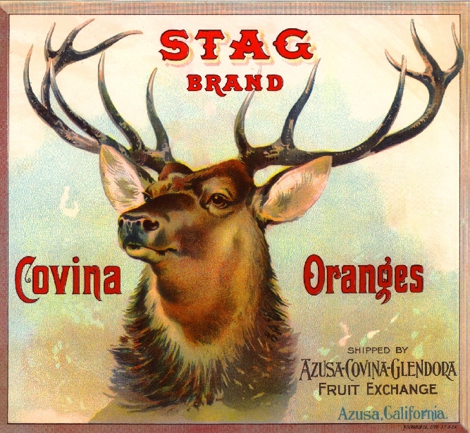Azusa Covina Stag #3 Deer Antelope Orange Citrus Fruit Crate Label Art Print