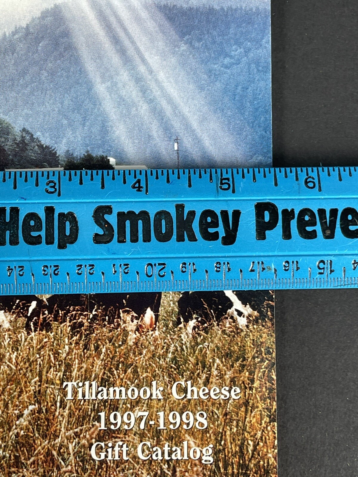Tillamook Cheese 1997-98 Gift Catalog Oregon Promotional Marketing Dairy Product