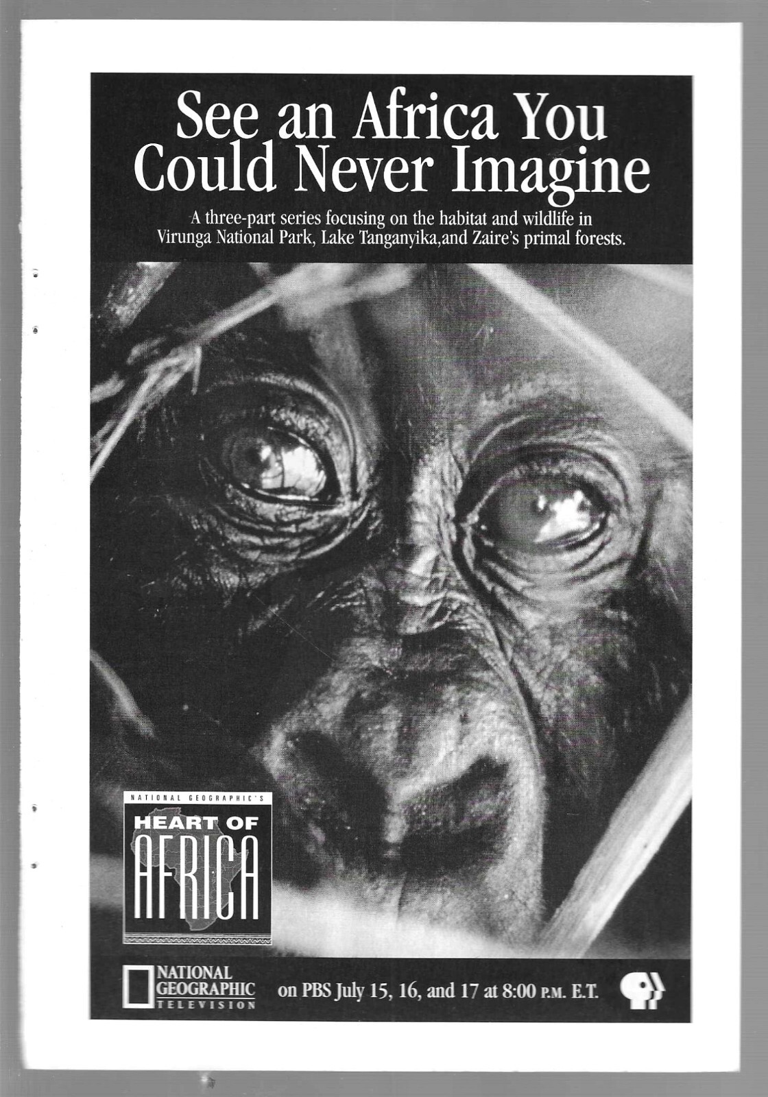 National Geographic Television Heart Of Africa Series PBS 1996 Vintage Print Ad
