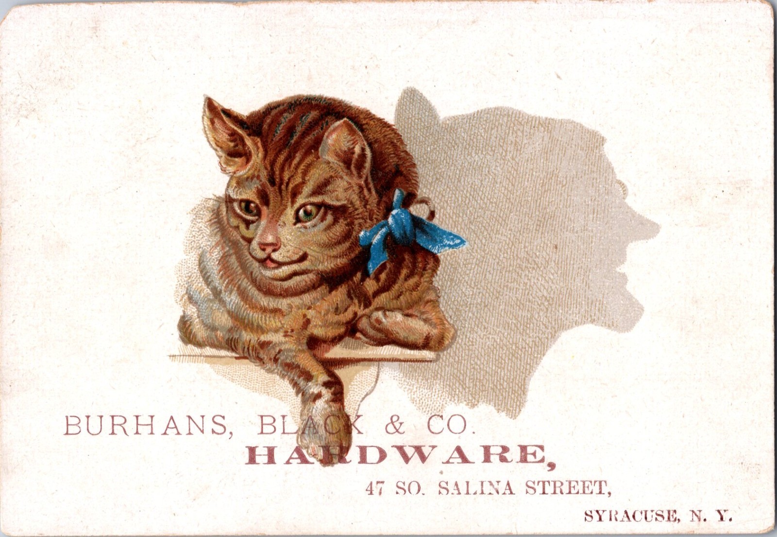 PH2995 NY New York Syracuse Cat Old Woman Trick Victorian Tradecard Trade Card