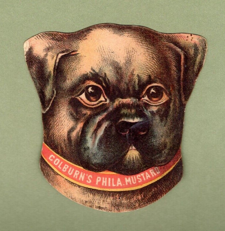 Colburn’s Philadelphia Mustard – Victorian Trade Card – Die Cut Dog Head