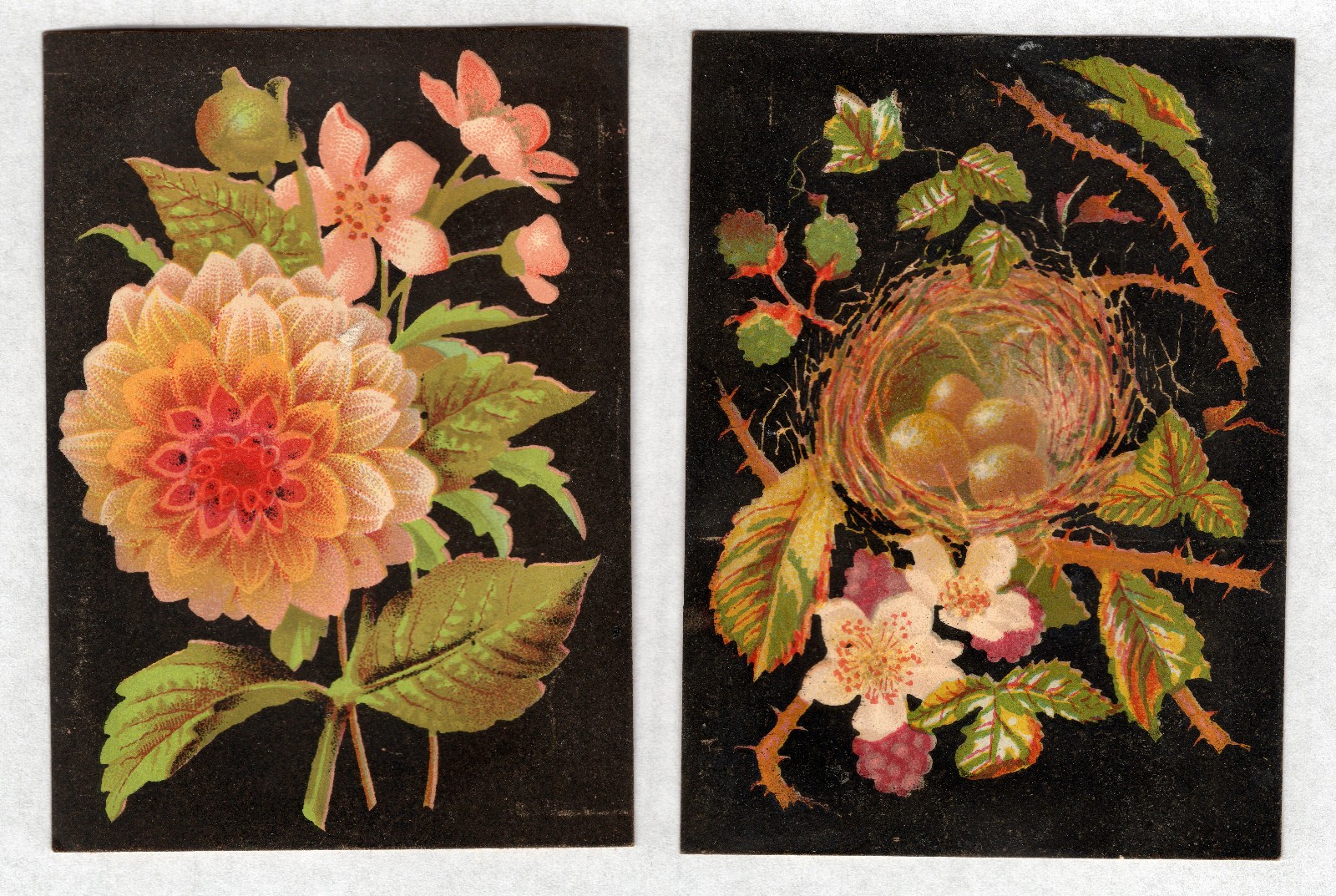 Floral on Black (2), No Print/Stock, Victorian Adv. Trade Cards