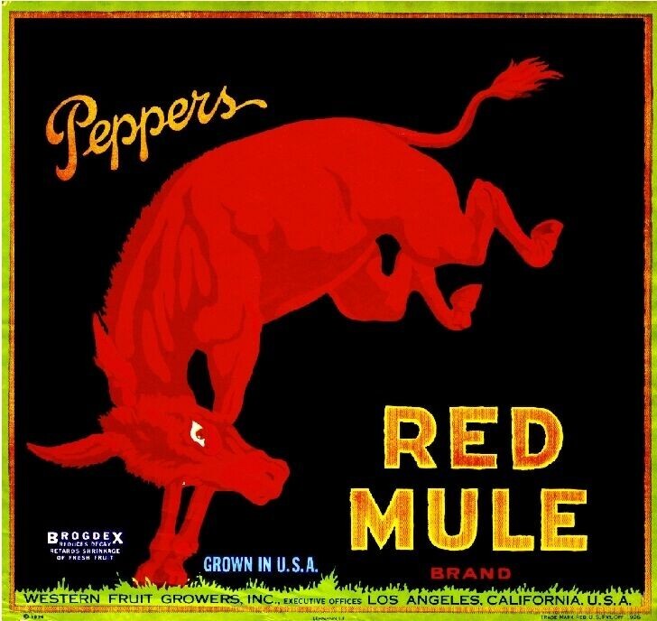Red Mule Brand Orange Los Angeles California Citrus Fruit Crate Label Art Print