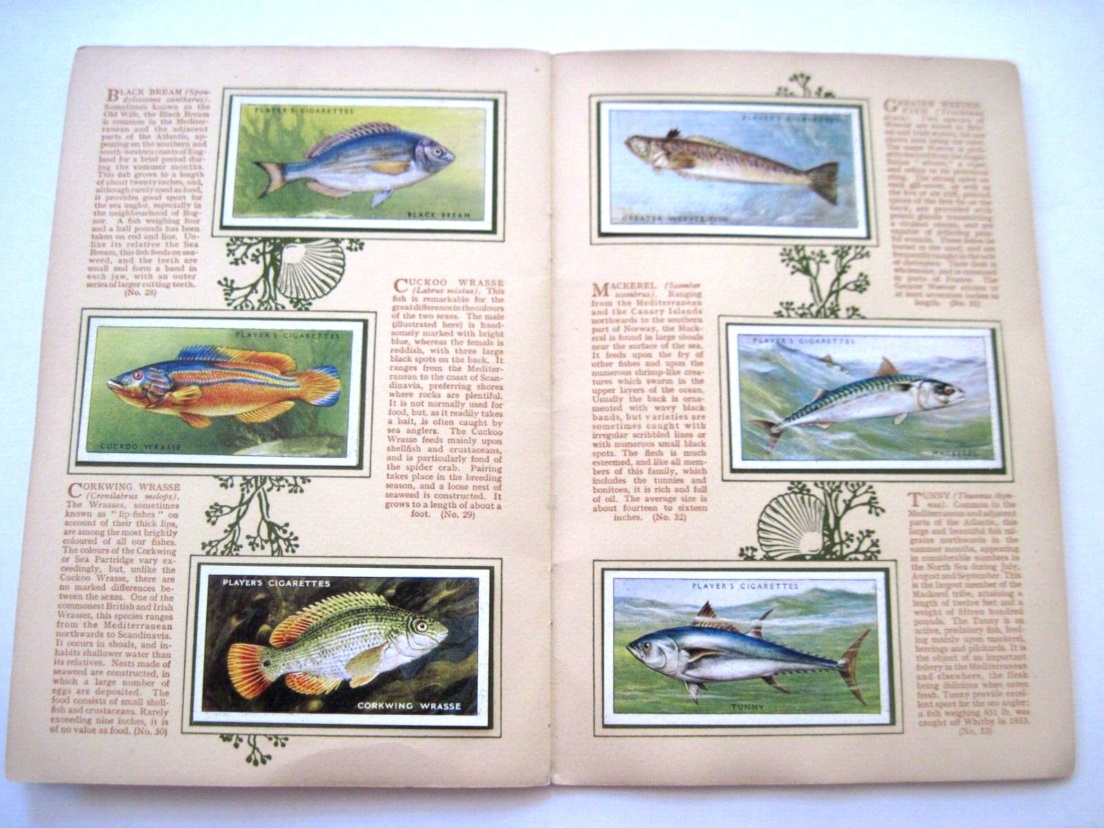 John Player & Sons Vintage “Sea Fishes” Album Complete with Cigarette Cards *