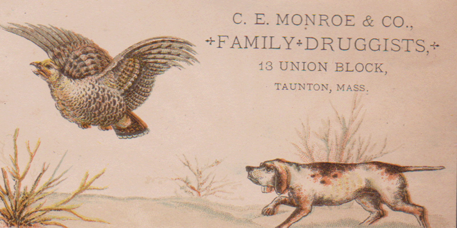 2 TAUNTON MA TRADE CARDS,C E MONROE & CO, FAMILY DRUGGISTS, 13 UNION BLOCK F797