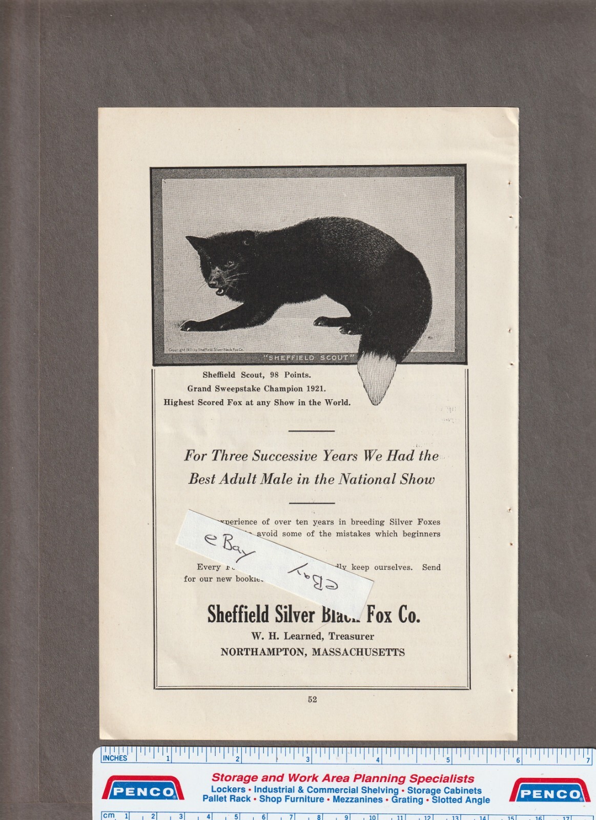 Vintage 1925 SHEFFIELD SILVER BLACK FOX Co. Magazine AD ~ Northampton, MA.~SCOUT