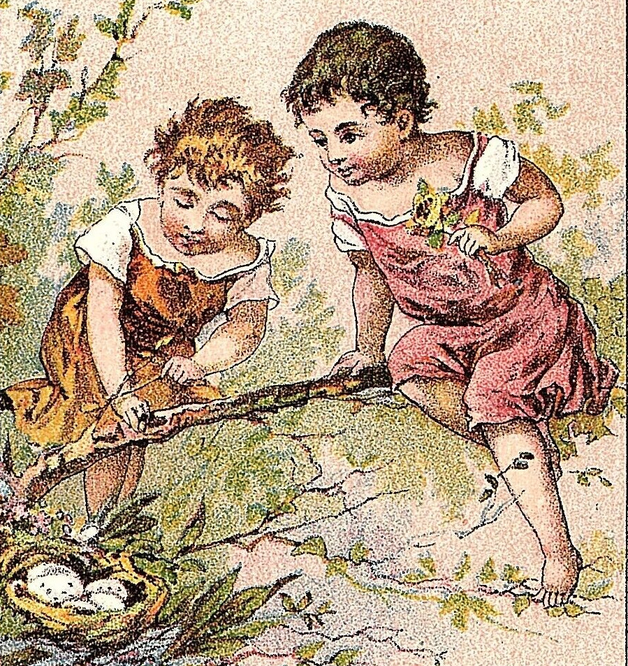 1880s James Pyle’s Pearline Washing Powder Adorable Girls & Bird Nest Eggs