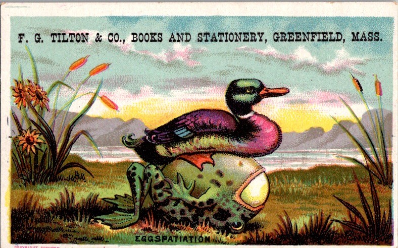 F.G. Tilton Books Stationery Greenfield MA Victorian Trade Card Duck Pond