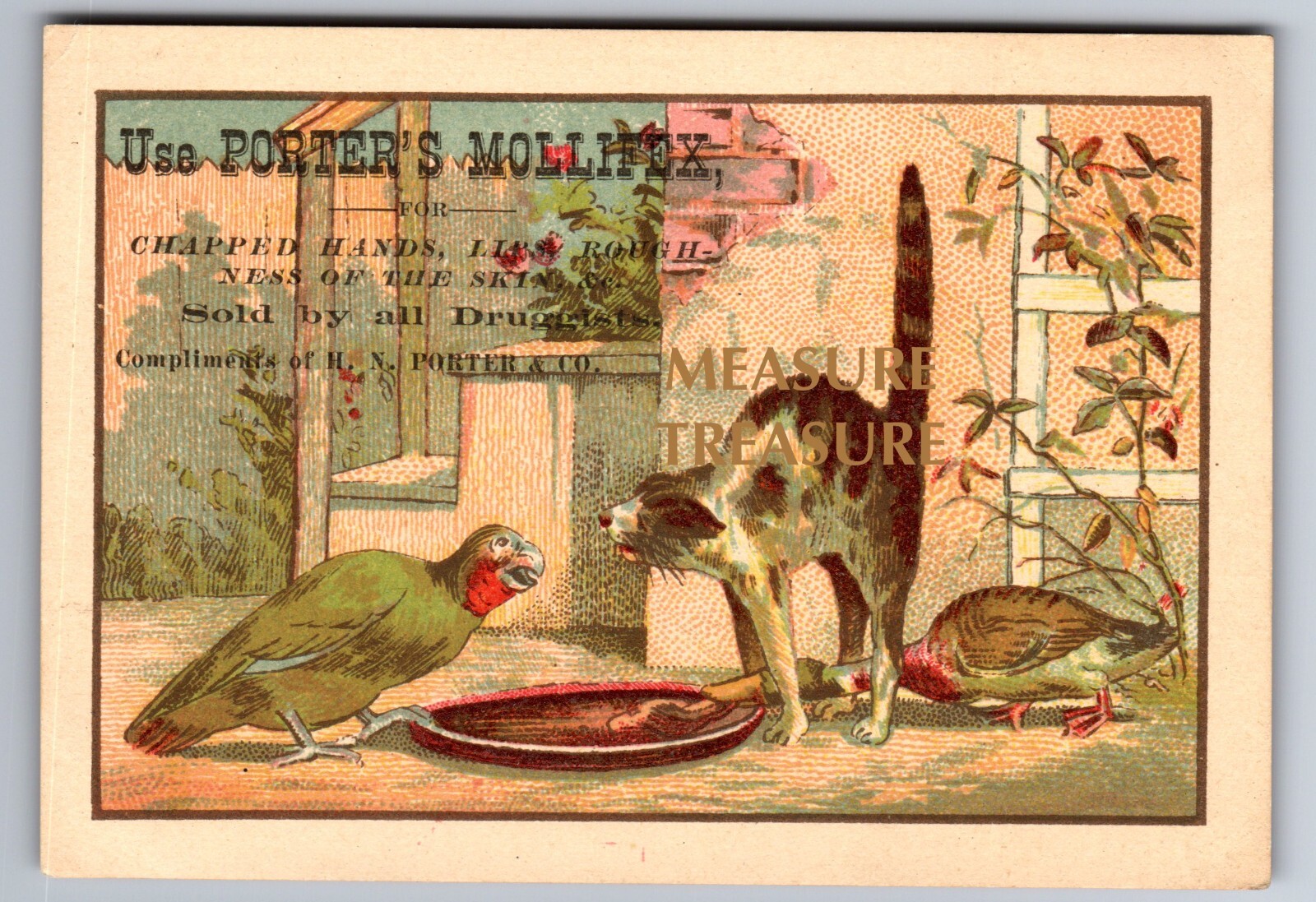 C.1880 CAT FOOLED BY DUCK & PARROT, LYNN, MA PORTER’S VICTORIAN TRADE CARD F11