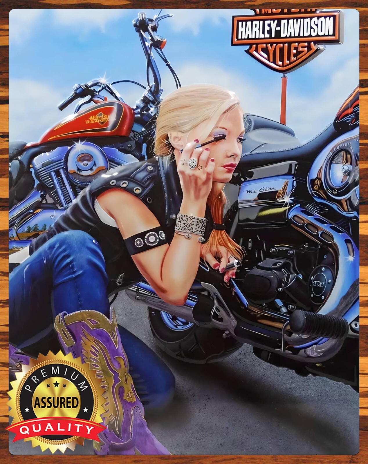 Harley Davidson – Makeup – Biker – Metal Sign 11 x 14