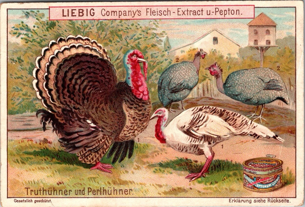 Liebig Trade Cards, Fleisch Extract Turkey Thanksgiving JH3
